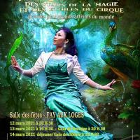 Projet de l affiche officielle du festival 2021 des stars de la magie et des etoiles du cirque v1 2