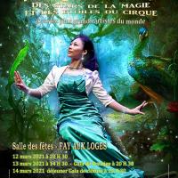 Projet de l affiche officielle du festival 2021 des stars de la magie et des etoiles du cirque v1